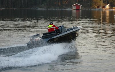 Ring Harbour Rat