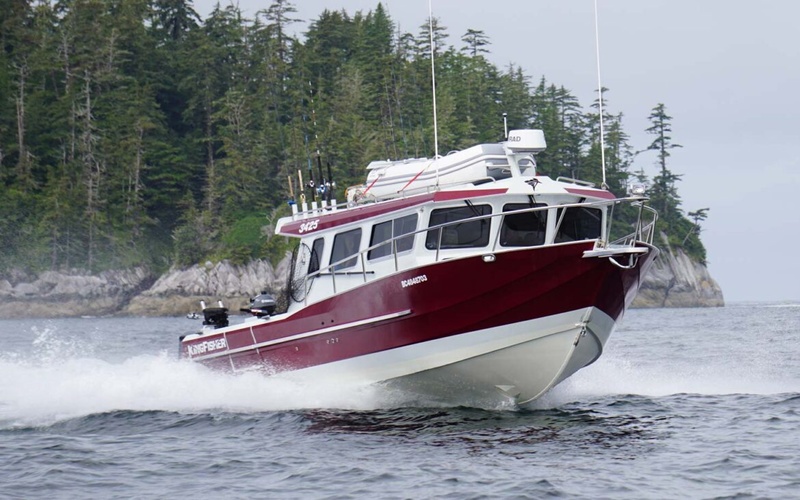 KingFisher 3425 GFX