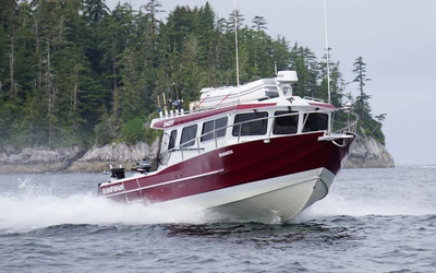 KingFisher 3425 GFX