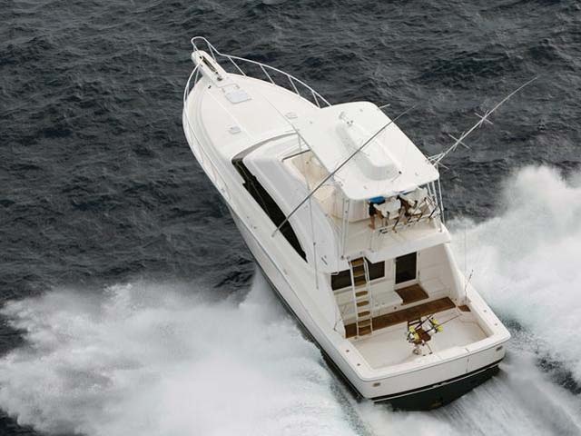 Bertram 511