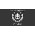 Mussini Giorgio