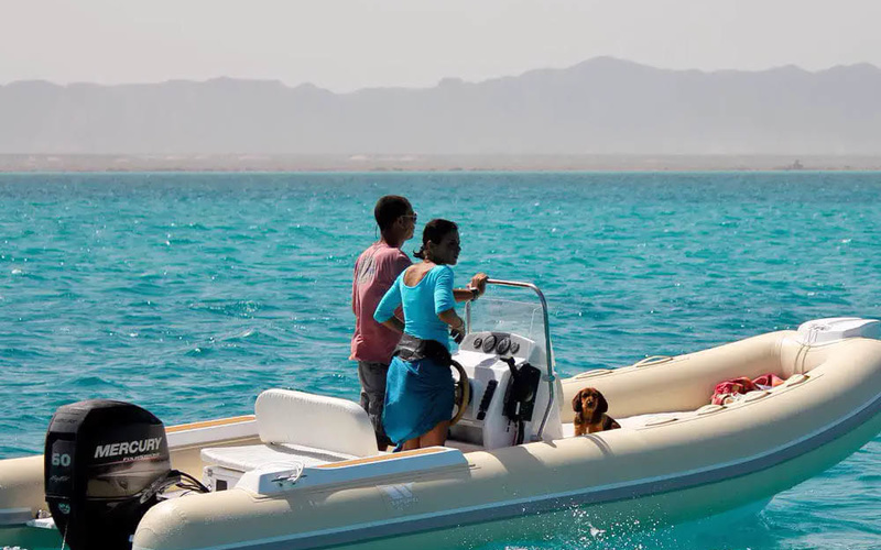 Tiger Marine SportLine 520