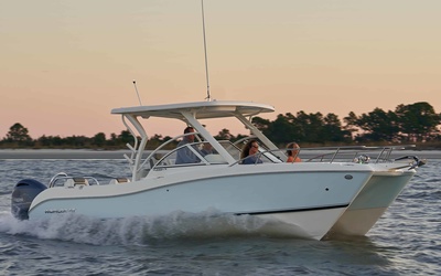 World Cat 255DC