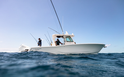 Caymas 341CC