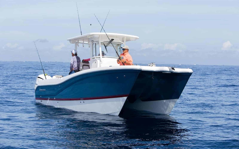 World Cat 295CC