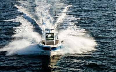 Boston Whaler 330 Outrage