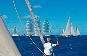 Perini Navi ходят стаями