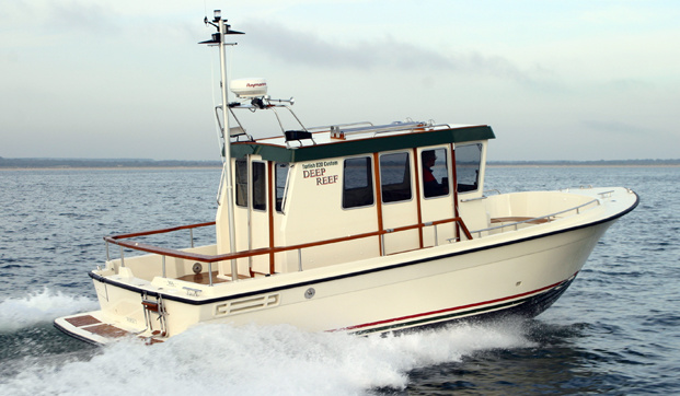 Targa TarFish TF 820