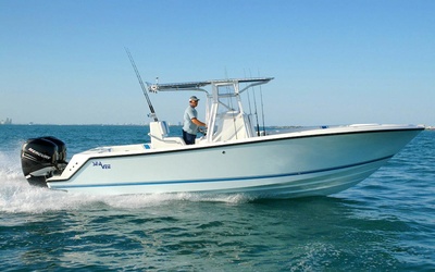 SeaVee 290