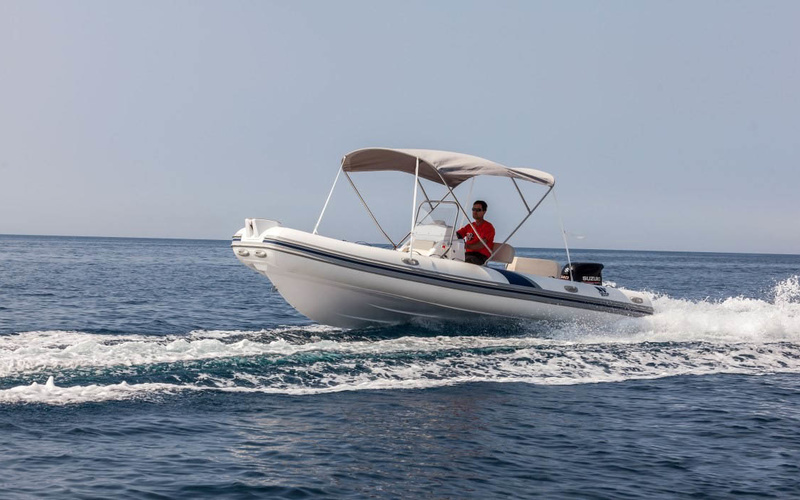 Tiger Marine ProLine 620