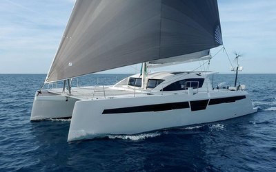 C-Cat 48