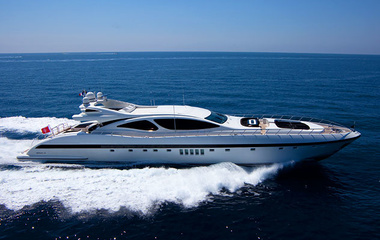 Mangusta Shane