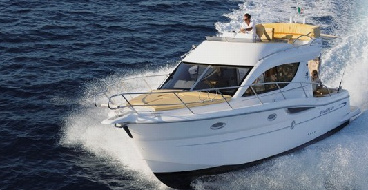 Sessa Dorado 36