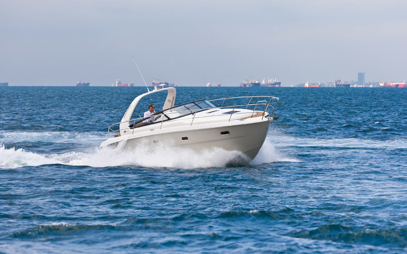 Bavaria Sport 31