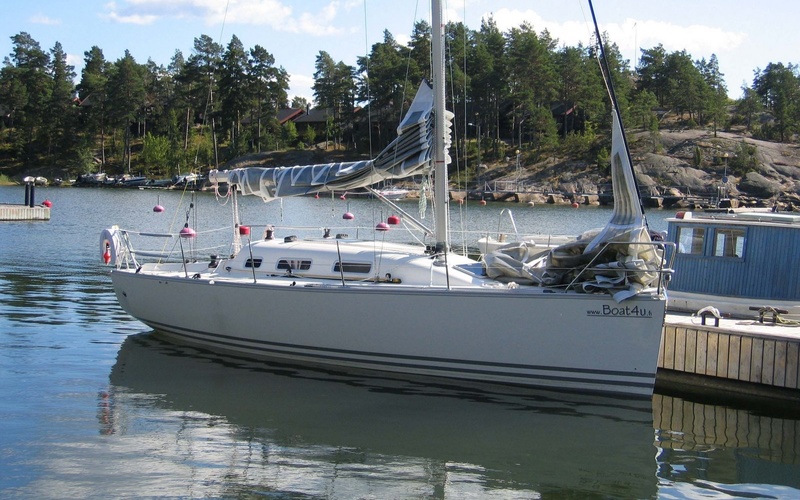 Ridas 31