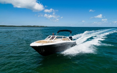 Scout 240 Dorado