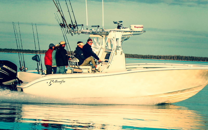 Yellowfin 29 Offshore