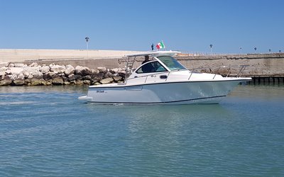3B Craft 25 EX