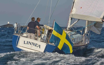 Heyman Celeste 36