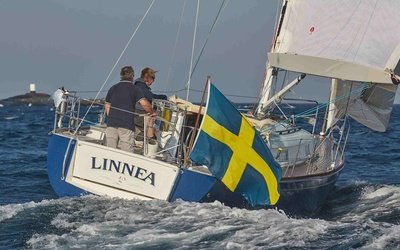 Heyman Celeste 36
