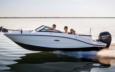 Sea Ray SPX 190 OB