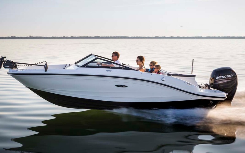 Sea Ray SPX 190 OB