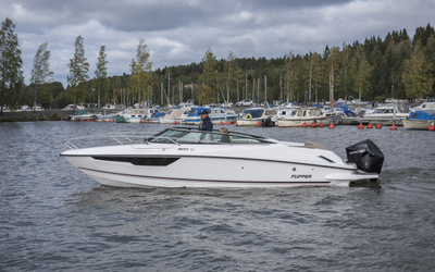 Flipper 800 DC