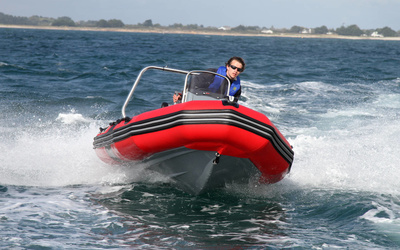 Zodiac Pro 500