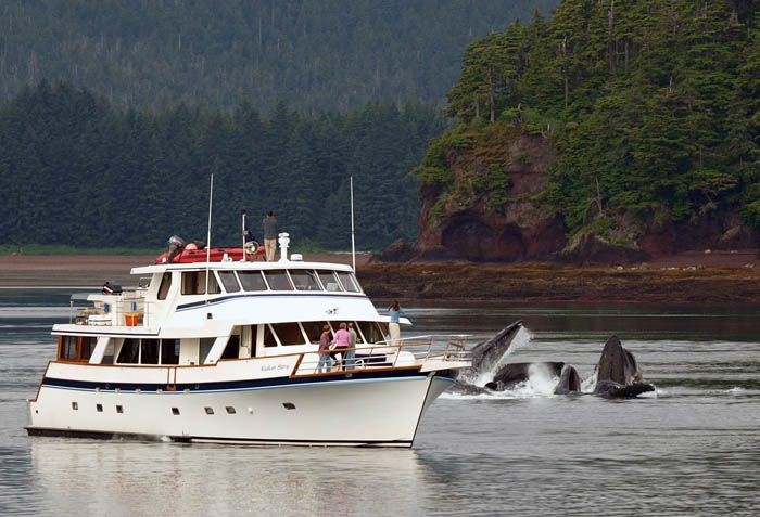 Westport Alaskan Story