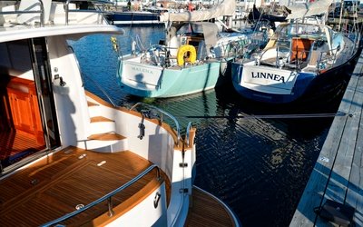 Heyman Celeste 37