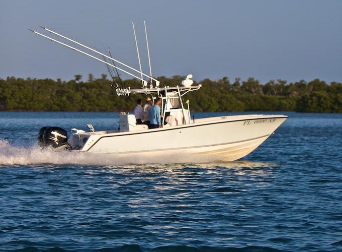 SeaVee 290