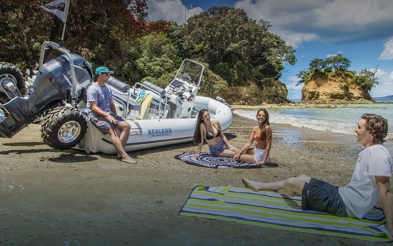 Sealegs 7.1m Sport RIB
