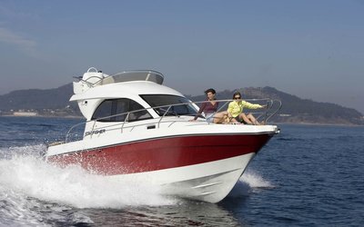 Starfisher ST27 Fly
