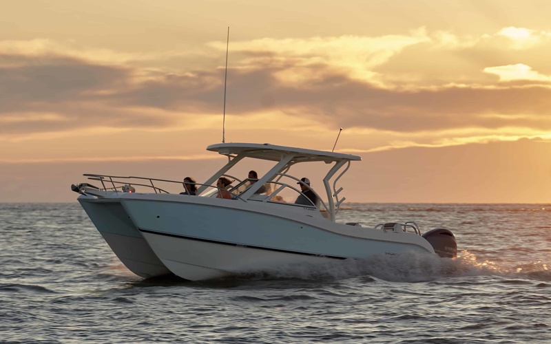 World Cat 255DC