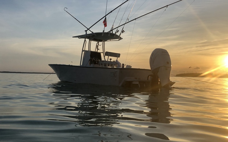 LTB 25