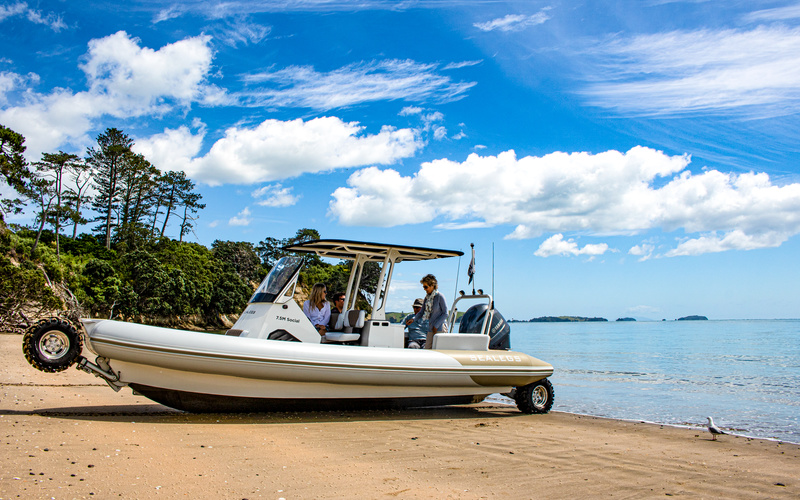 Sealegs 7.5m Amphibious RIB