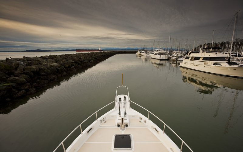 Selene 49