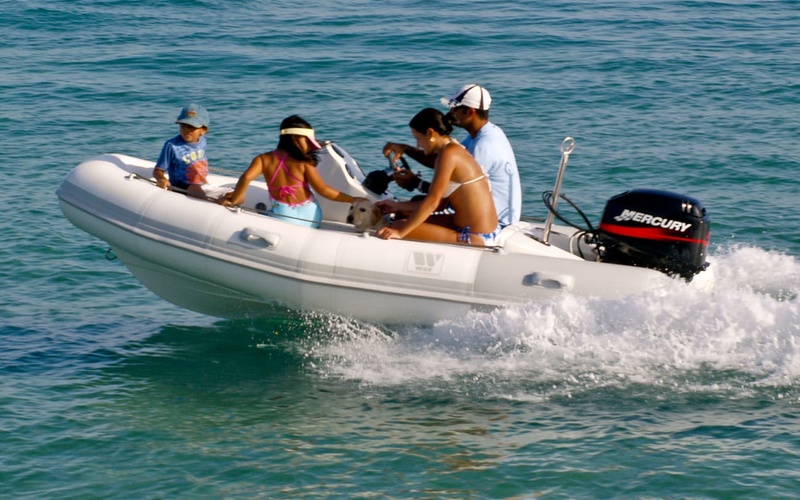 Tiger Marine ProTender 370