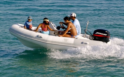 Tiger Marine ProTender 370
