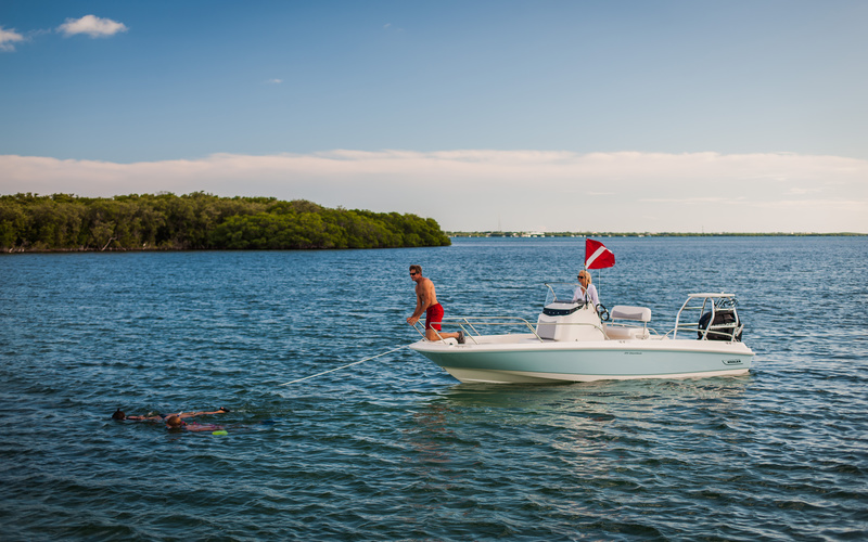 Boston Whaler 210 Dauntless