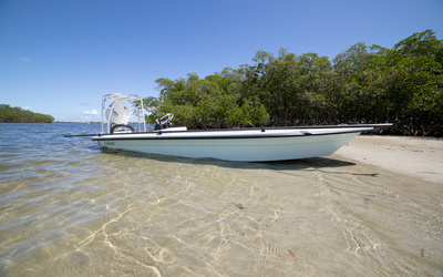 Ankona Caicos