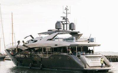Zodiac Pro 5.5