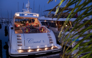 Leopard Cristal 1