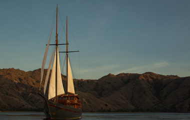 Custom Vela