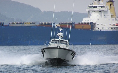 Rodman 38