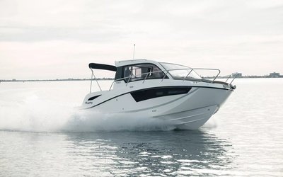 Bayliner T25 Explorer