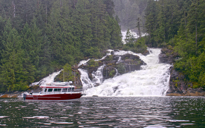 KingFisher 3425 GFX