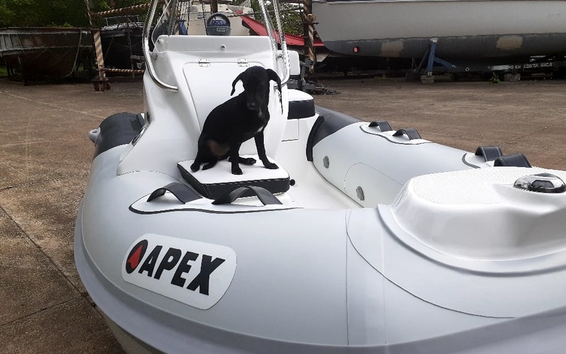 Apex A-11 T