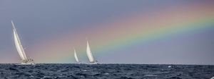 Rainbow Race