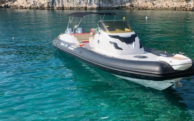 Grginic Shark 38